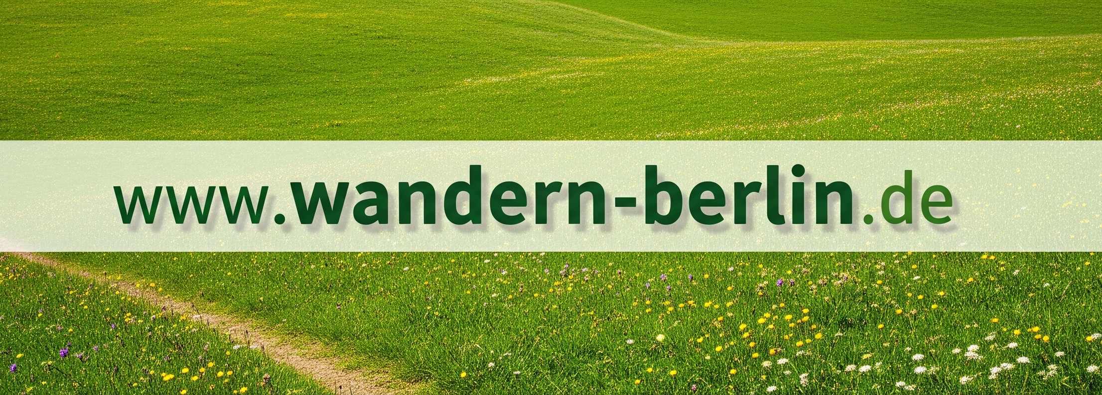 Webseiten-Banner
